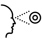 Vision-1