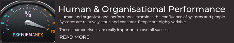 human and organisational performance-1